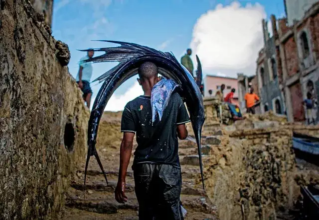 Zdjęcie Bezpieczne schodzenie z wózkiem – unikaj niebezpiecznych wpadek!