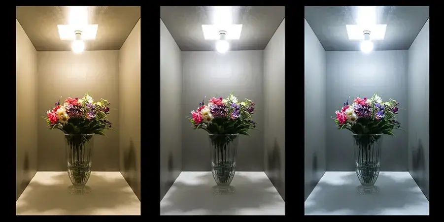 Zdjęcie Jaka barwa światła do makijażu? Odkryj idealne oświetlenie dla siebie