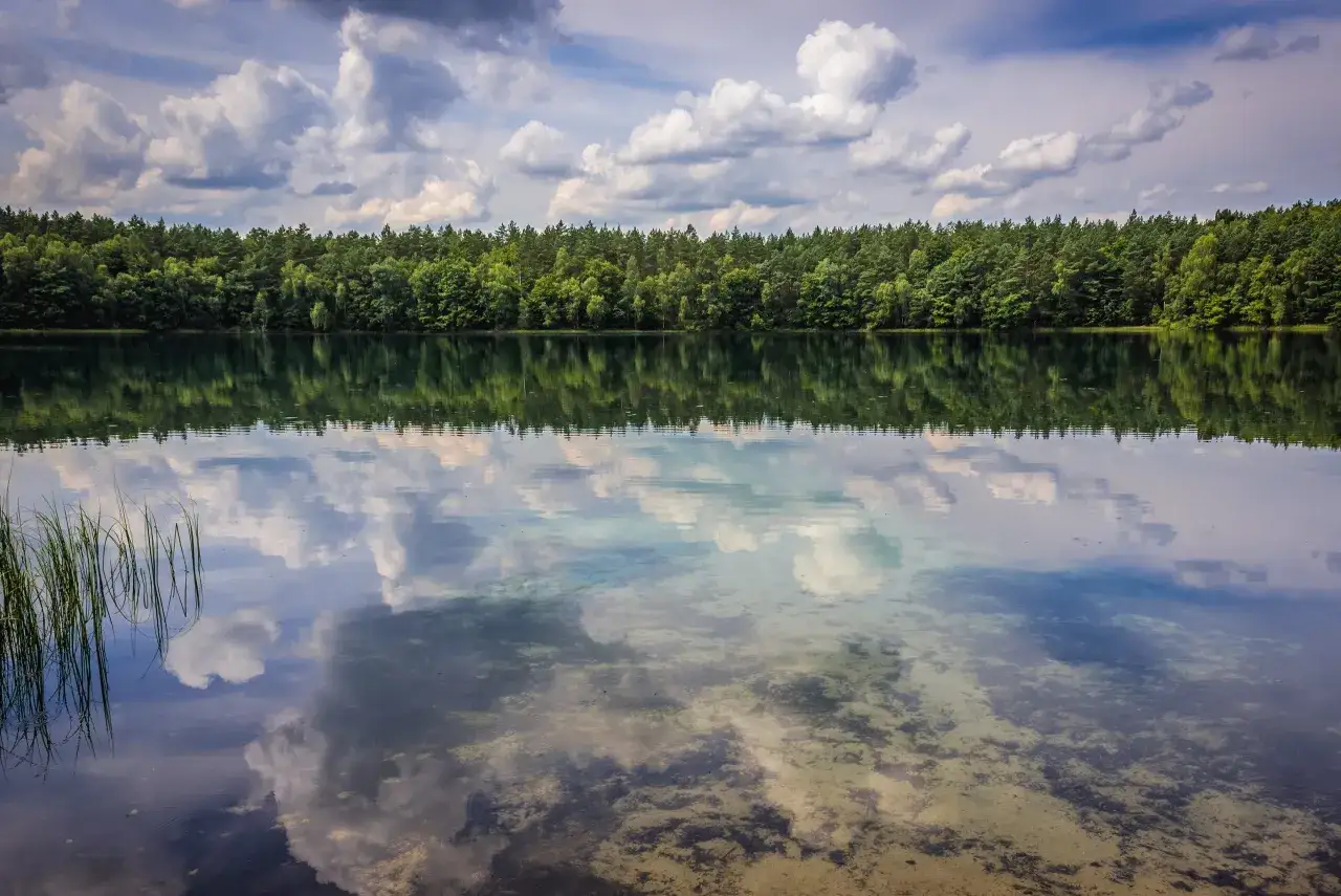 Zdjęcie Jeziora woj opolskie: najlepsze miejsca na relaks i przygodę