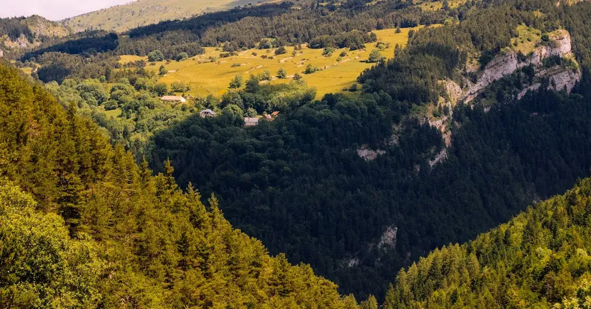 Zdjęcie Jak zwiedzić Kościół Pokoju w Świdnicy bez kolejek? Sprytne triki