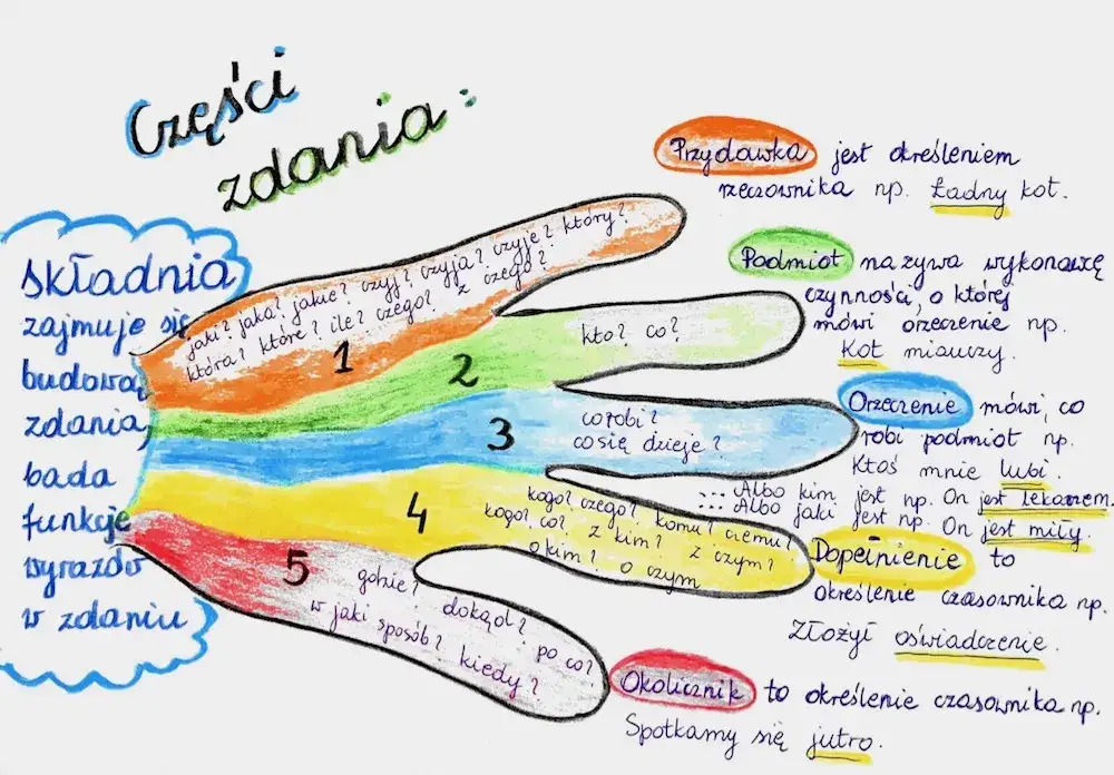 Zdjęcie Orzecznik: Rola i funkcja tego części zdania w języku polskim