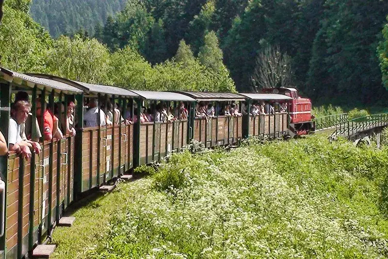 Zdjęcie Cisna atrakcje, które zaskoczą każdego turystę w Bieszczadach