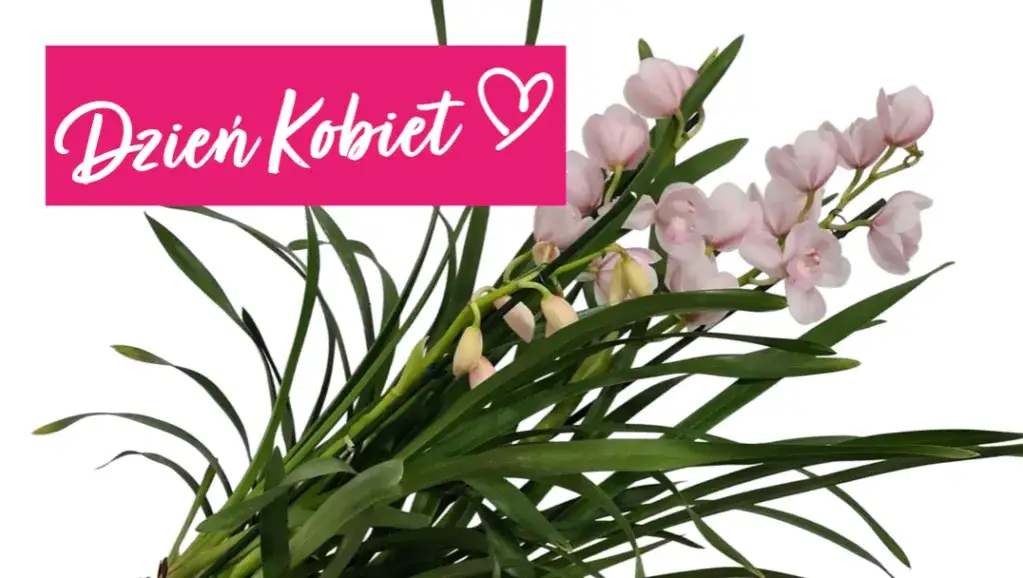 Zdjęcie Jak wybrać kwiaty na Dzień Kobiet? Poradnik i inspiracje