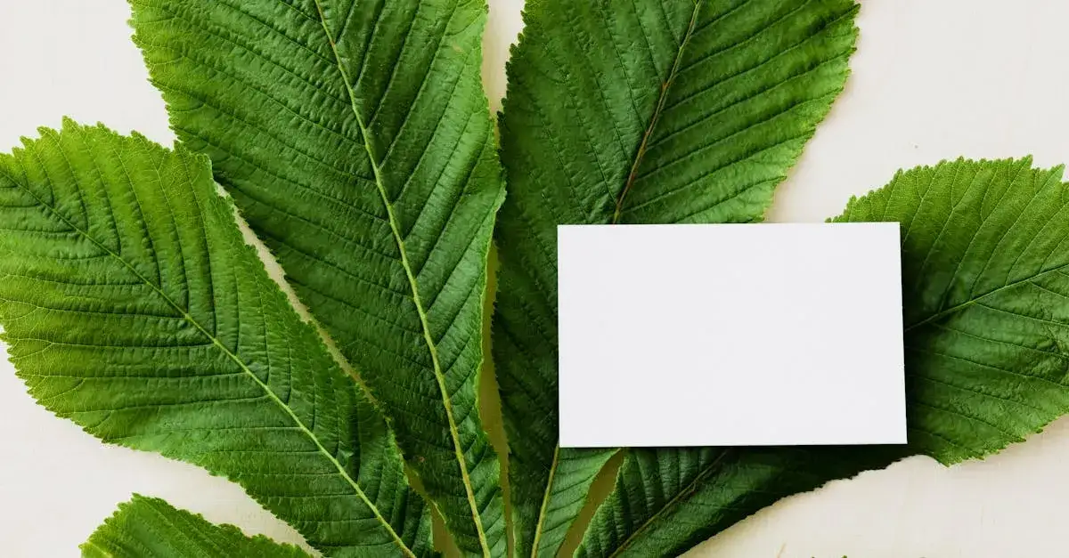 Zdjęcie Jakie smaki kryje rolada szpinakowa na słodko, którą warto poznać?