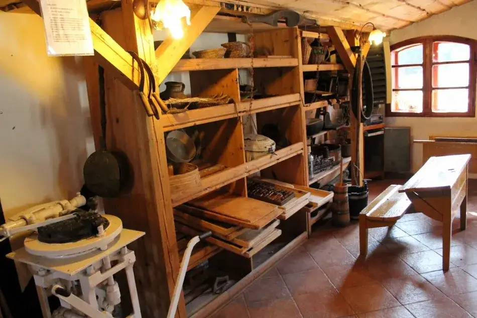 Zdjęcie Cennik Skansenu Chleba w Ustroniu Morskim – ile naprawdę zapłacisz?