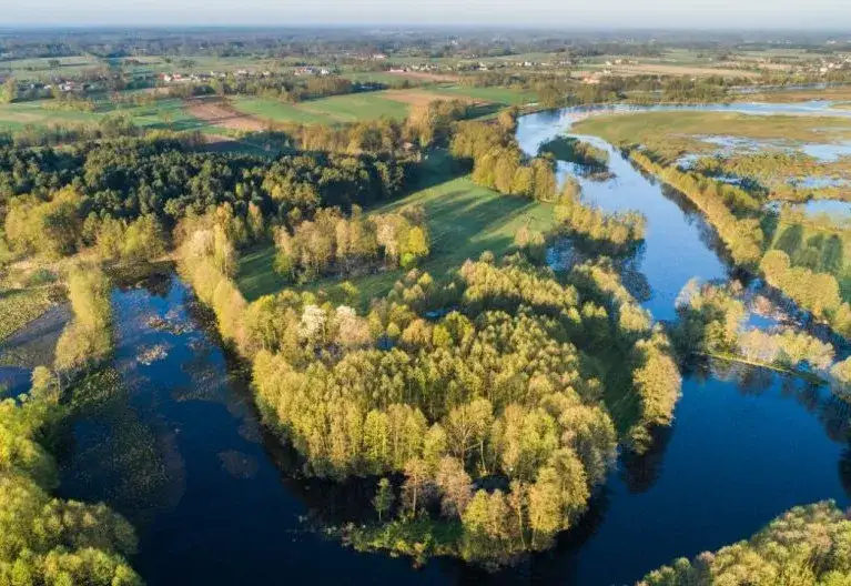 Zdjęcie Atrakcje w Żywcu, które zaskoczą każdego turystę i zapewnią niezapomniane chwile