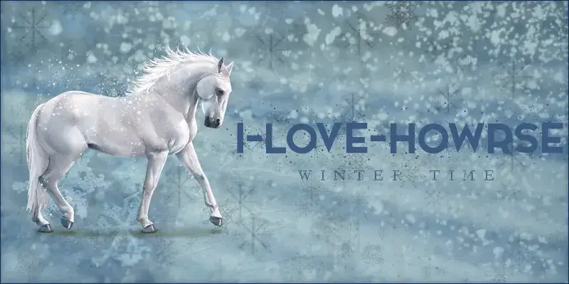 Zdjęcie Jak zrobić prezentację HTML na Howrse, aby zachwycić innych graczy