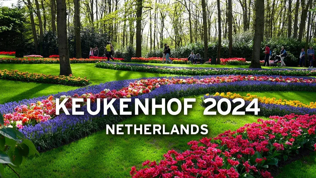 Zdjęcie Keukenhof: najlepszy czas na wizytę i kwitnące tulipany