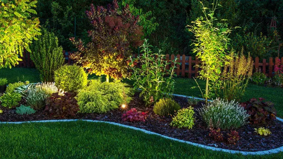 Zdjęcie Jakie materiały wybrać na obrzeża w ogrodzie, aby były trwałe i piękne?