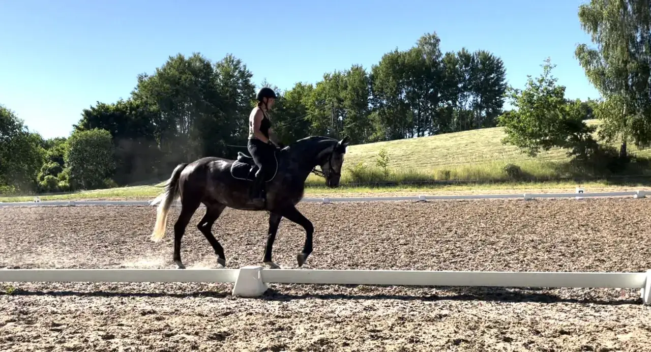 Zdjęcie Jak ruszyć konia do kłusa: proste techniki dla początkujących jeźdźców