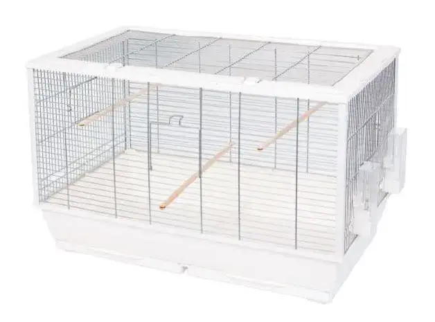 Zdjęcie Najlepsze materiały na dno klatki dla papug - skuteczne rozwiązania