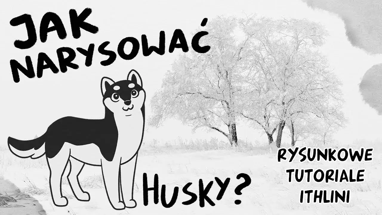Zdjęcie Jak łatwo narysować psa husky krok po kroku dla początkujących