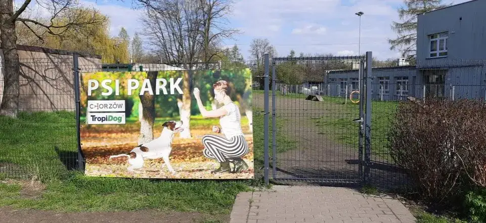 Zdjęcie Gdzie z psem na spacer w Śląsku? Odkryj najlepsze miejsca i trasy