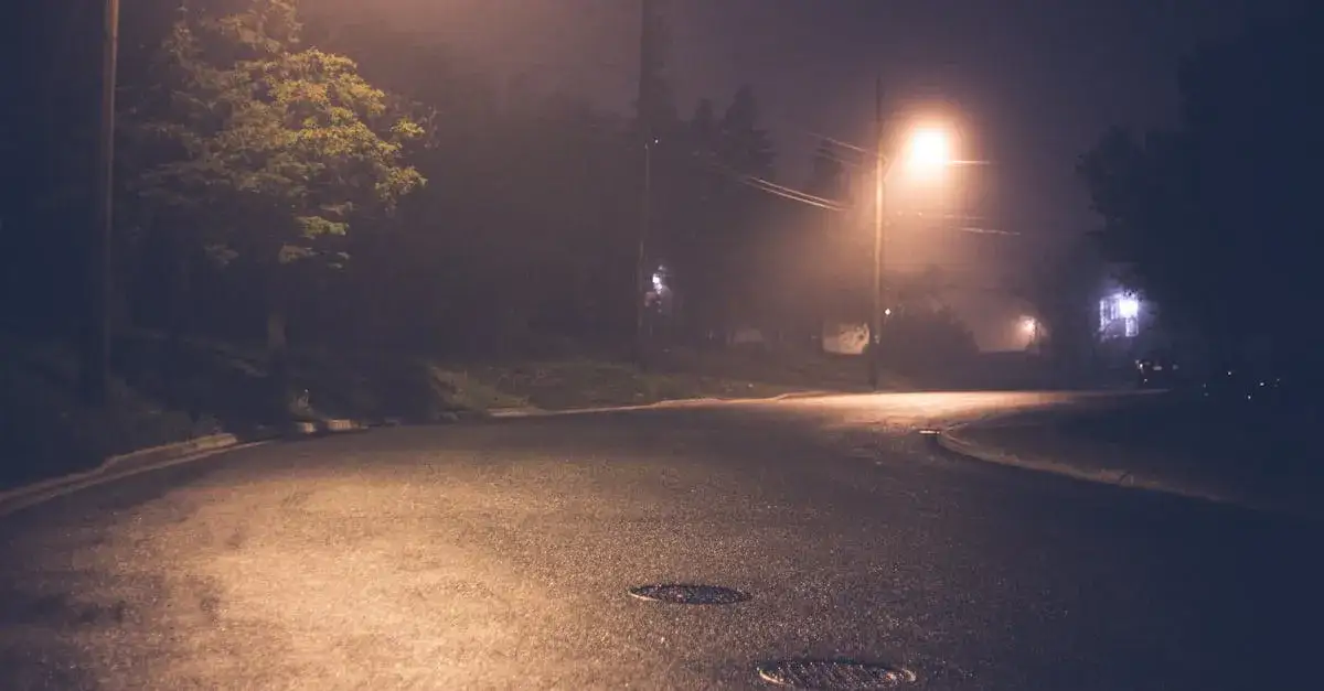 Zdjęcie Dlaczego ogród świateł w Poznaniu oczaruje Twoją rodzinę? Magia!