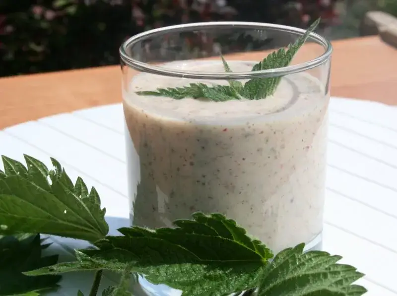 Zdjęcie Koktajl z pokrzywą: zdrowe przepisy na pyszne i odżywcze napoje