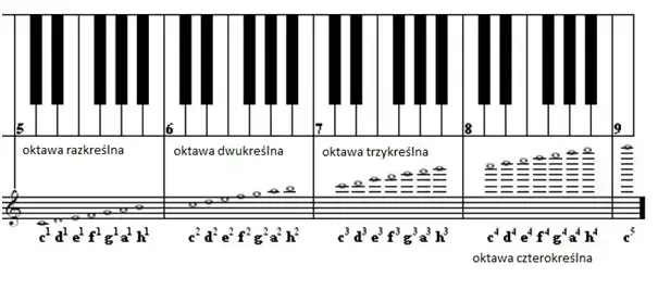 Zdjęcie Jak klaskać nuty: proste techniki na poprawę rytmu i precyzji