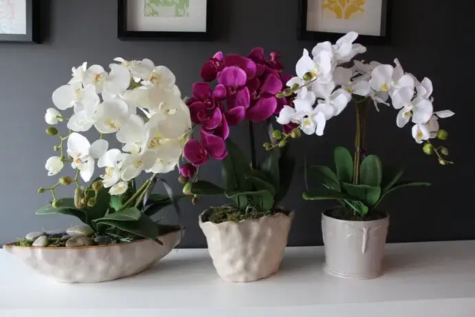 Zdjęcie Sztuczne storczyki jak żywe w doniczce – piękna dekoracja bez trosk