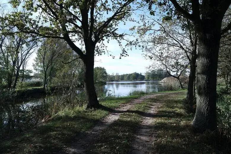 Zdjęcie Rezerwat przyrody Stawy Milickie: Odkryj unikalną przyrodę i atrakcje
