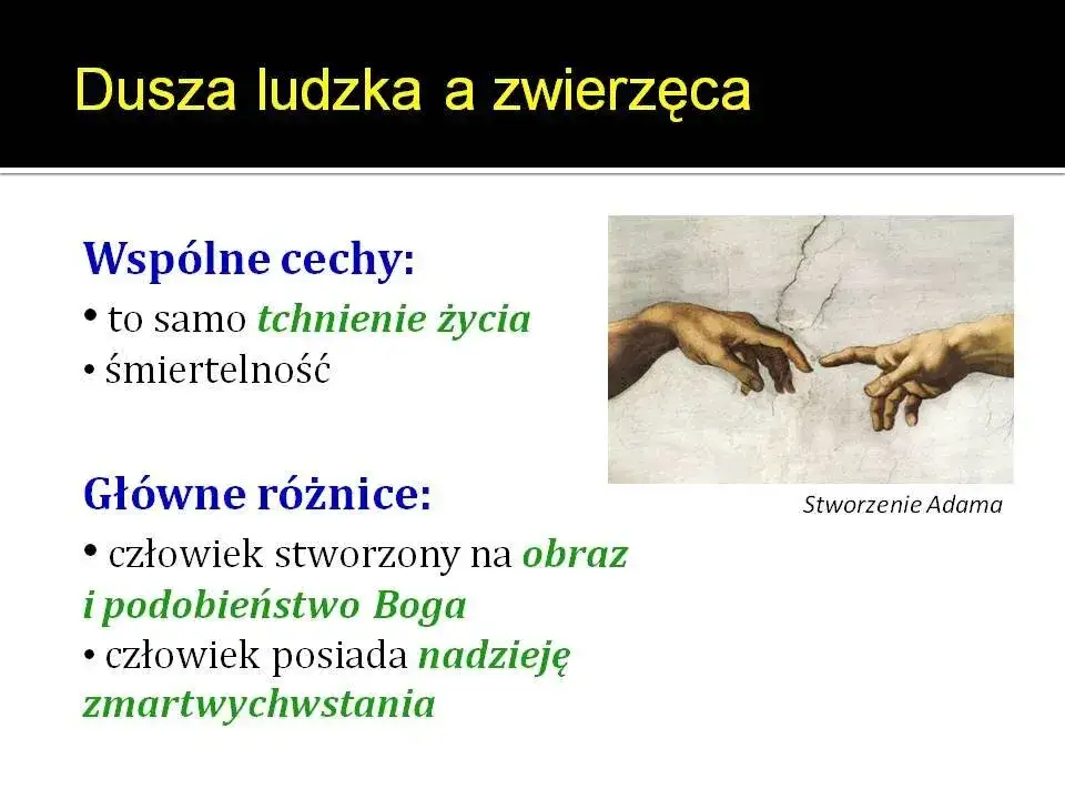 Zdjęcie Co to jest dusza ludzka według katechizmu i dlaczego jest ważna?
