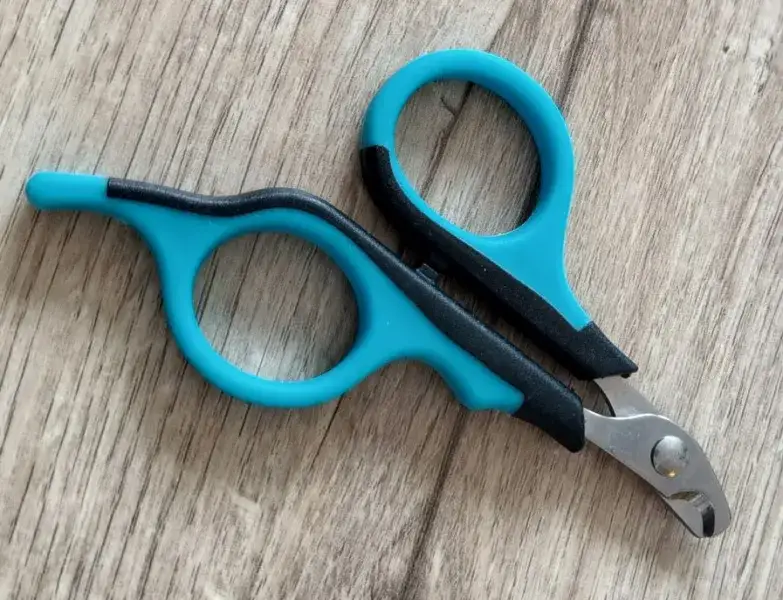 Zdjęcie Jak bezpiecznie obcinać paznokcie śwince morskiej bez stresu i błędów