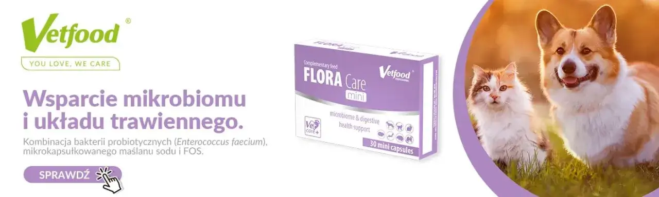 Zdjęcie Jaki probiotyk dla psa wybrać, aby poprawić zdrowie jelit?