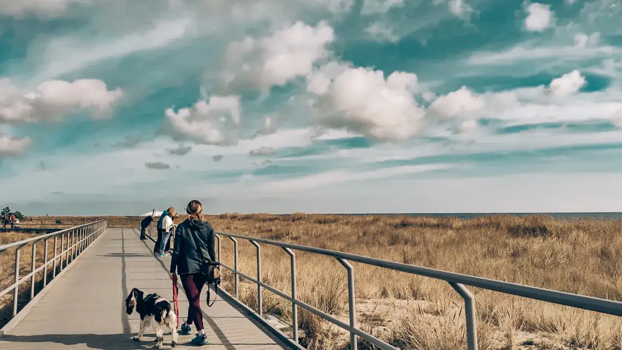 Zdjęcie Ile kilometrów ma półwysep helski? Zaskakujące fakty o Mierzei!