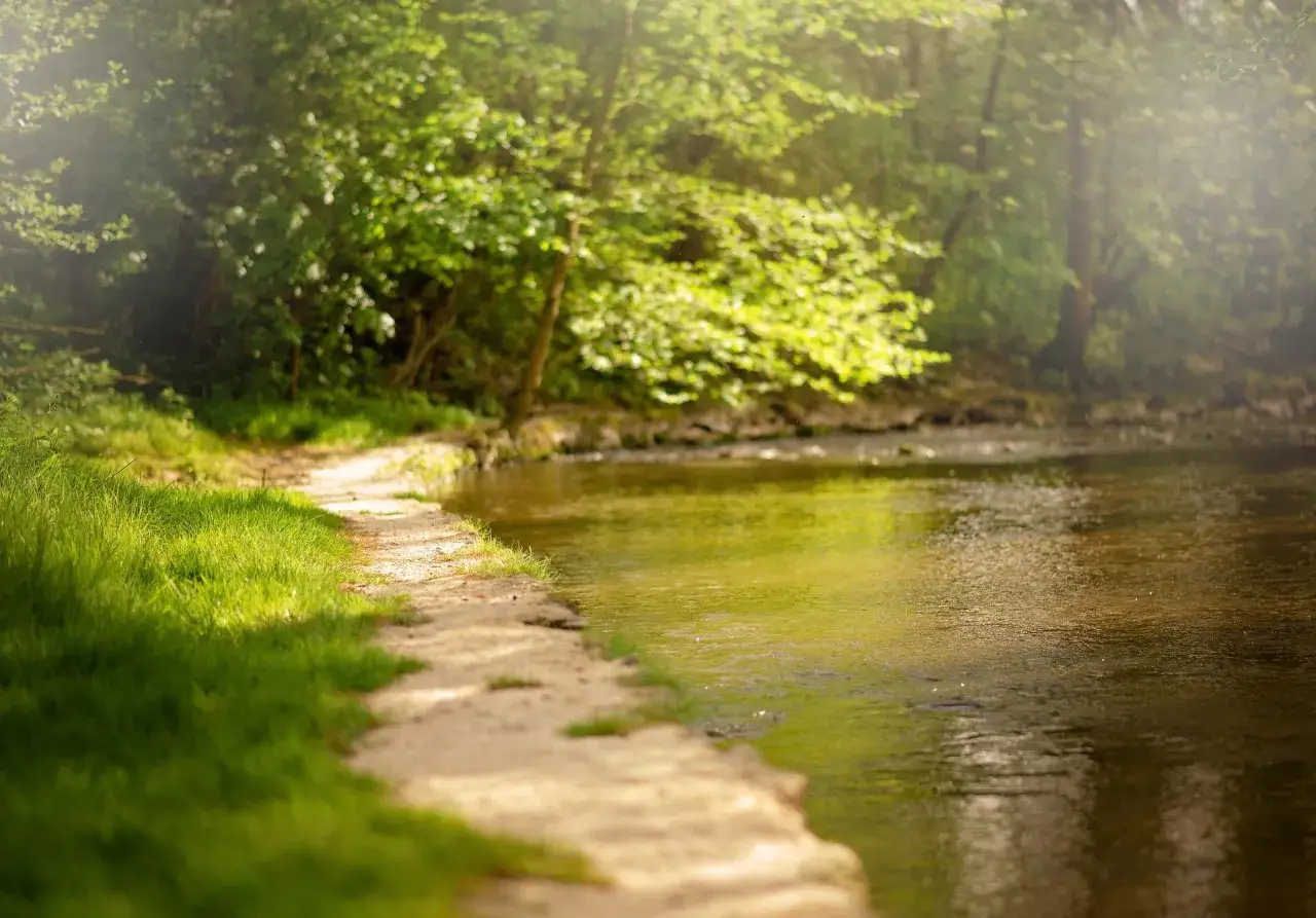 Zdjęcie Jezioro Świdwie: Odkryj unikalne bogactwo przyrody i atrakcje