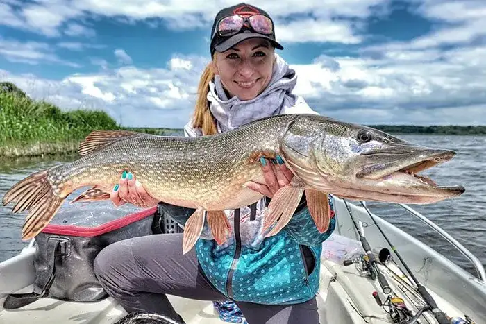 Zdjęcie Najlepsze zestawy przynęt na szczupaka - wybierz skuteczne lures