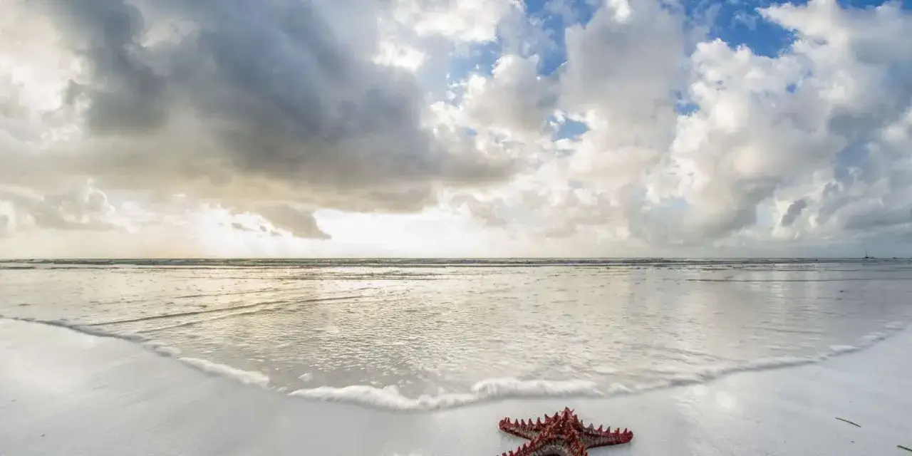 Zdjęcie Najlepsze atrakcje w Mombasie, które musisz zobaczyć podczas wizyty