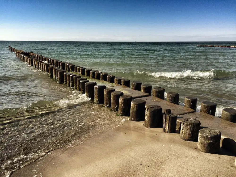 Zdjęcie Gdzie zbierać muszle nad Bałtykiem? Odkryj najlepsze miejsca i porady