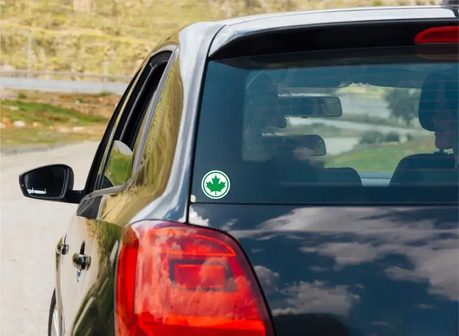 Zdjęcie Gdzie kupić listek dla początkującego kierowcy? Sprawdź najlepsze miejsca