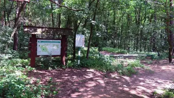 Zdjęcie Najlepsze atrakcje w Tarczynie, które musisz zobaczyć i przeżyć