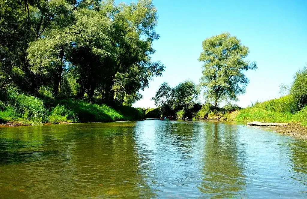 Zdjęcie Spływ kajakowy Radawa - najlepsze trasy i porady dla początkujących