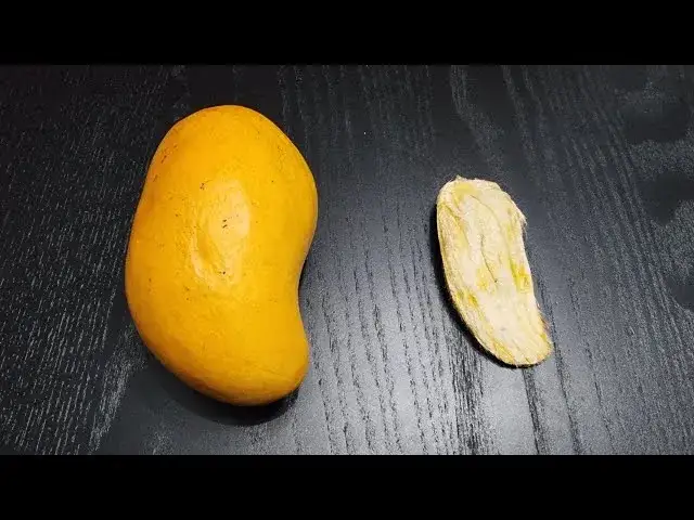 Zdjęcie Jak skutecznie sadzić pestkę mango, aby uniknąć niepowodzeń w uprawie