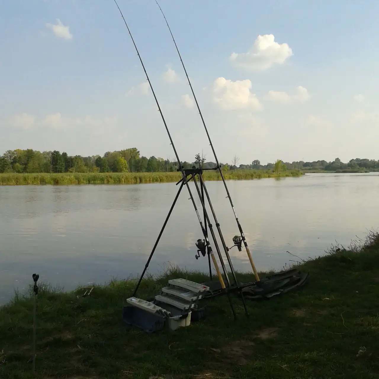 Zdjęcie Na ile wędek można łowić z dzieckiem? Sprawdź ważne przepisy i zasady