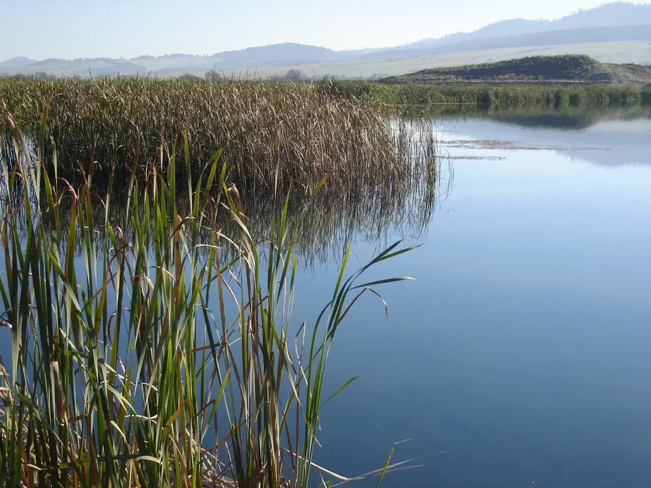 Zdjęcie Łowisko Frydman - idealne miejsce na wędkarskie przygody i relaks