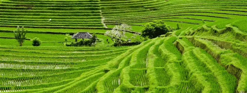 Zdjęcie Gdzie jest wyspa Bali? Odkryj jej niezwykłe położenie i klimat