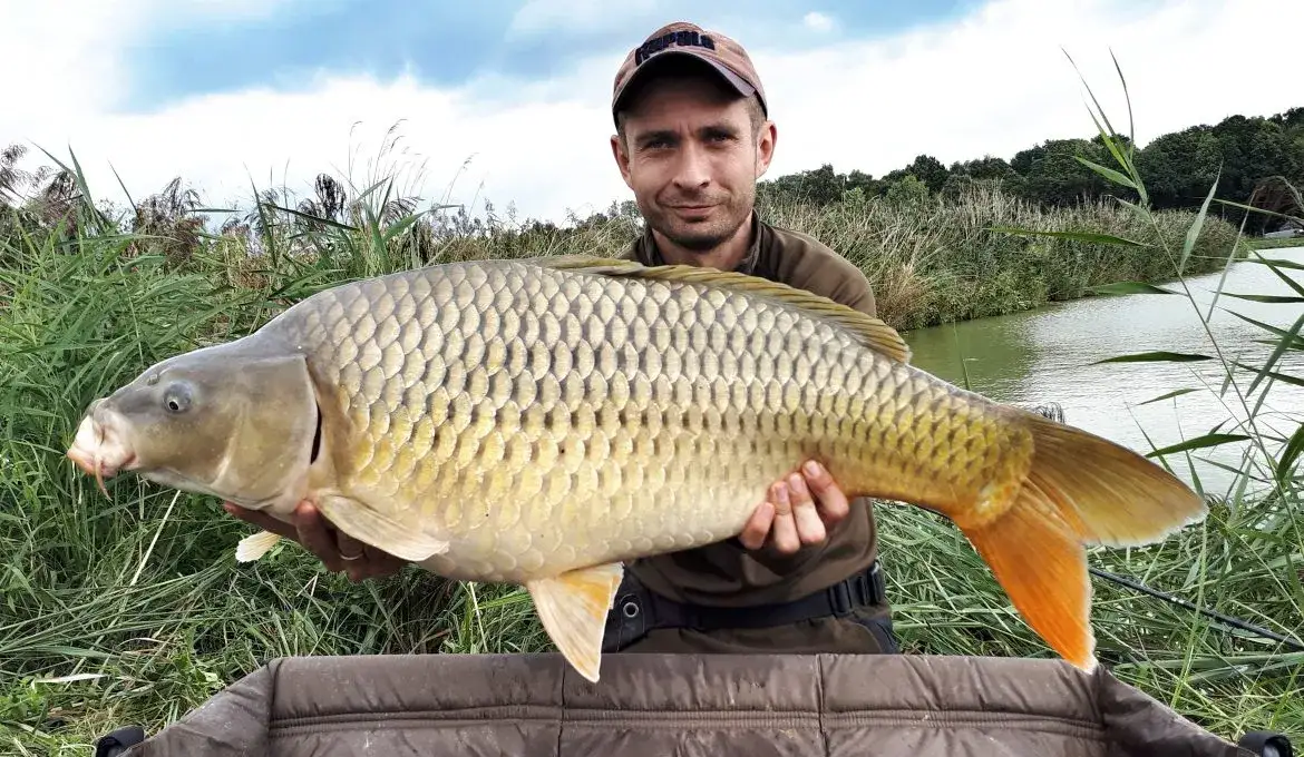 Zdjęcie Najlepsze jeziora komercyjne w Pomorskim na wędkowanie i relaks