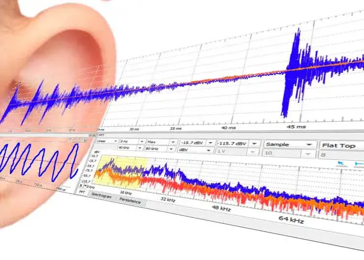 Zdjęcie Jak bass kształtuje duszę muzyki? Sekrety niskich częstotliwości