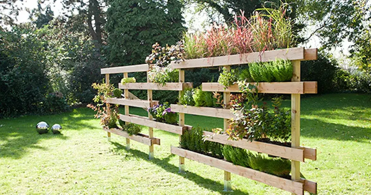 Zdjęcie Jak zrobić parawan ogrodowy - proste kroki i materiały, które wybierziesz