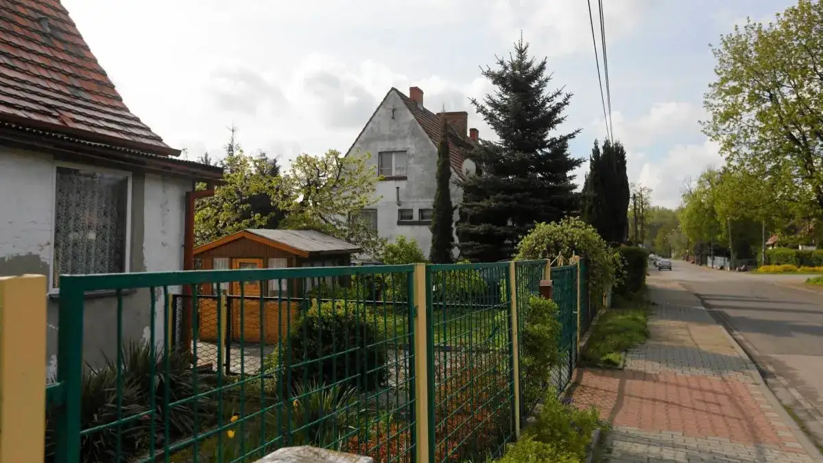 Zdjęcie Gdzie mieszka Palion? Zaskakujące fakty o jego życiu w Katowicach.