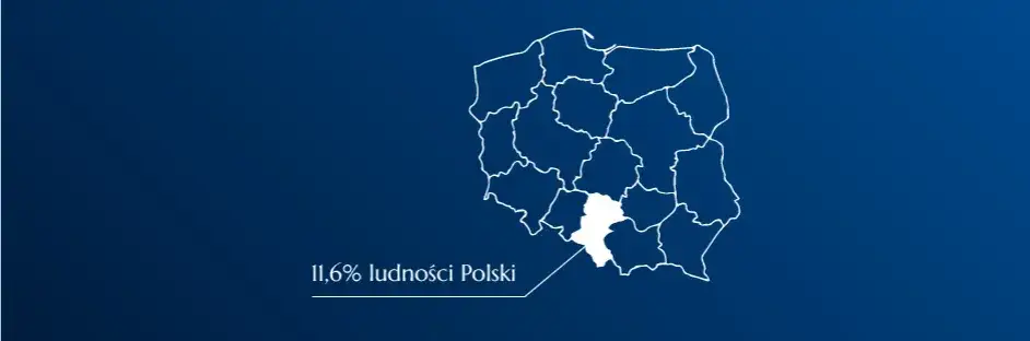 Zdjęcie Ile ludzi mieszka na Śląsku? Zaskakujące dane demograficzne regionu