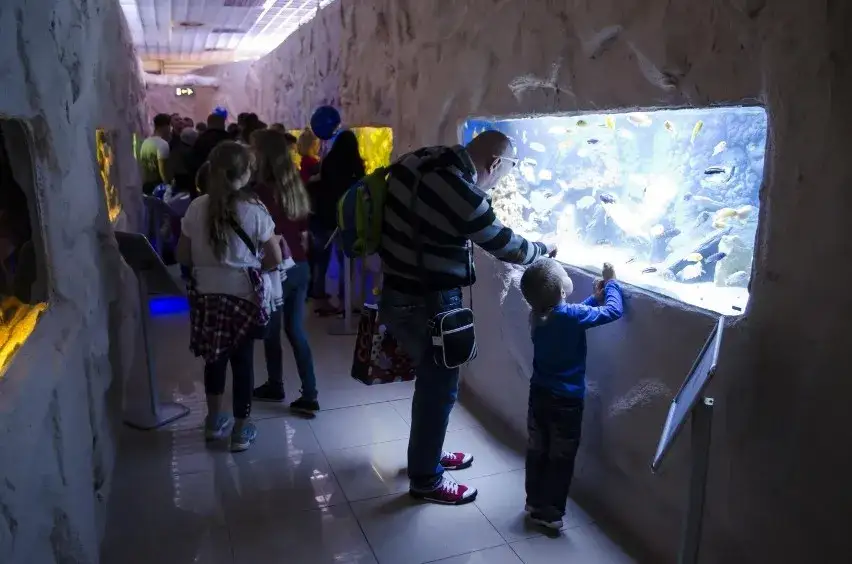 Zdjęcie Oceanarium Warszawa Blue City - Fascynujące życie morskie i atrakcje