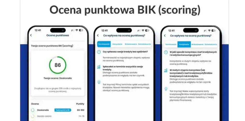 Zdjęcie Co oznacza skrót BIK i jak wpływa na twoją zdolność kredytową