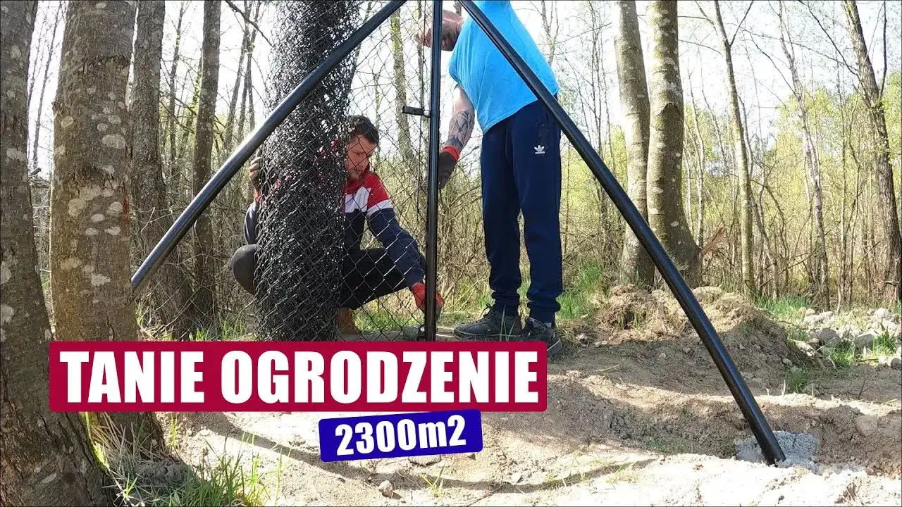 Zdjęcie Jak tanio ogrodzić działkę? Tanie i skuteczne metody na płot