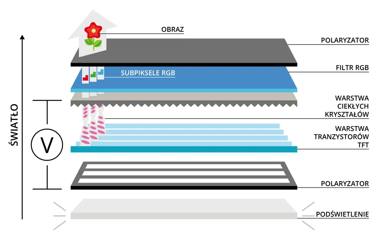 Schemat budowy ekranu LCD. Warstwy: podświetlenie, polaryzator, tranzystory TFT, ciekłe kryształy, filtr RGB, subpiksele, polaryzator, obraz. R&oacute;żnice między w-led a led w podświetleniu.