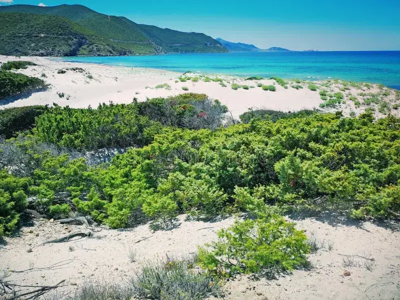 Pustynia Agriates plaże Korsyka