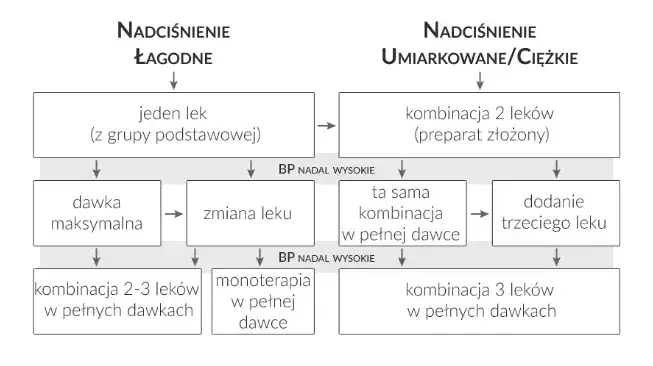 R&oacute;żne rodzaje tabletek na nadciśnienie, schemat działania lek&oacute;w