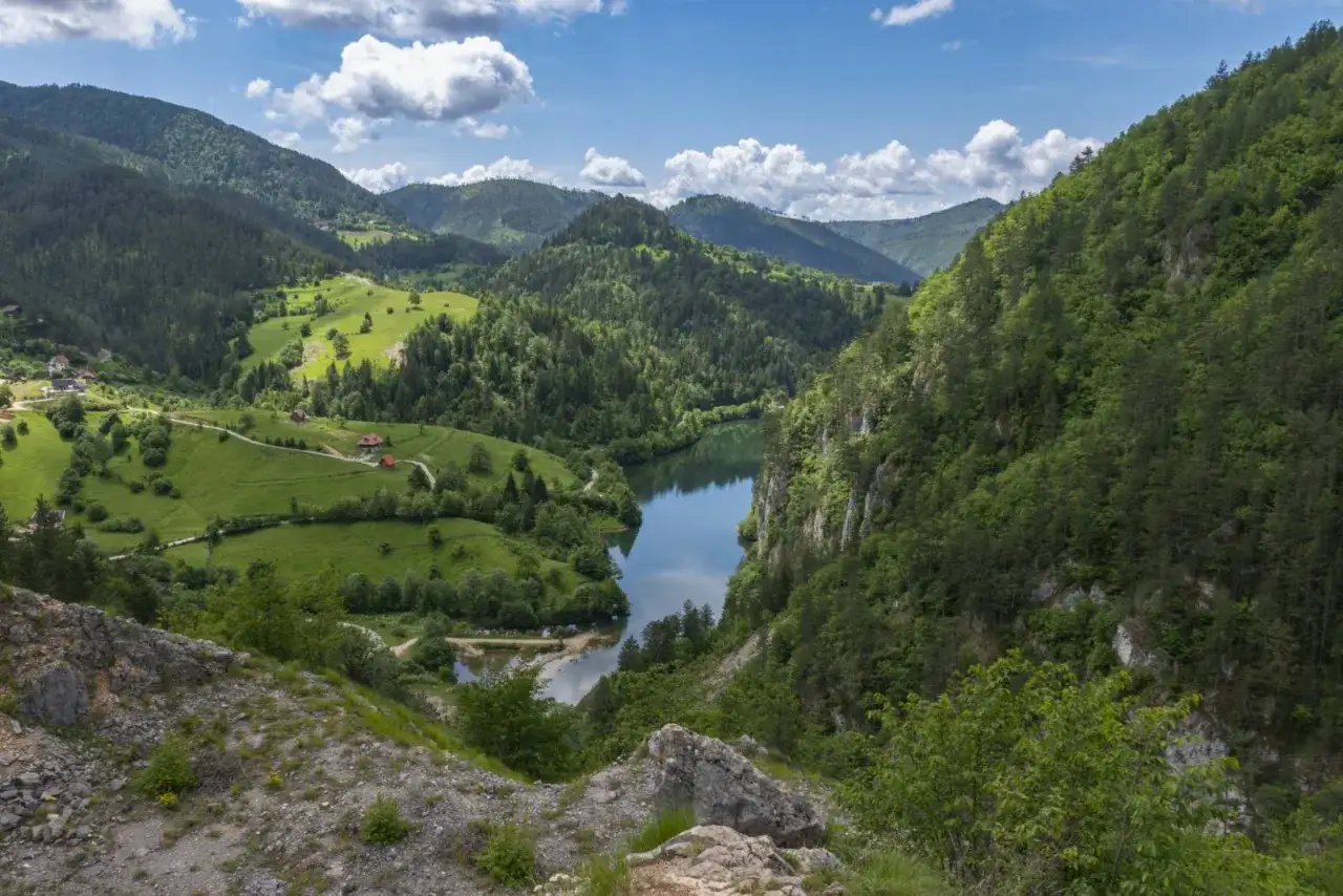 Malownicze serbskie góry z zielonymi wzgórzami, rzeką i domkami.