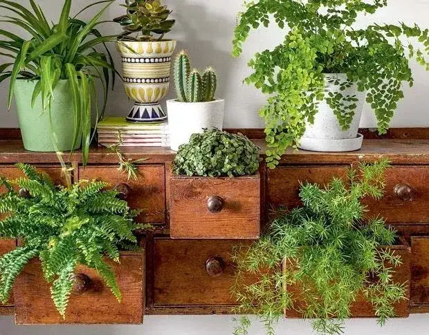 Inspiracje na domowy kwietnik z roślinami